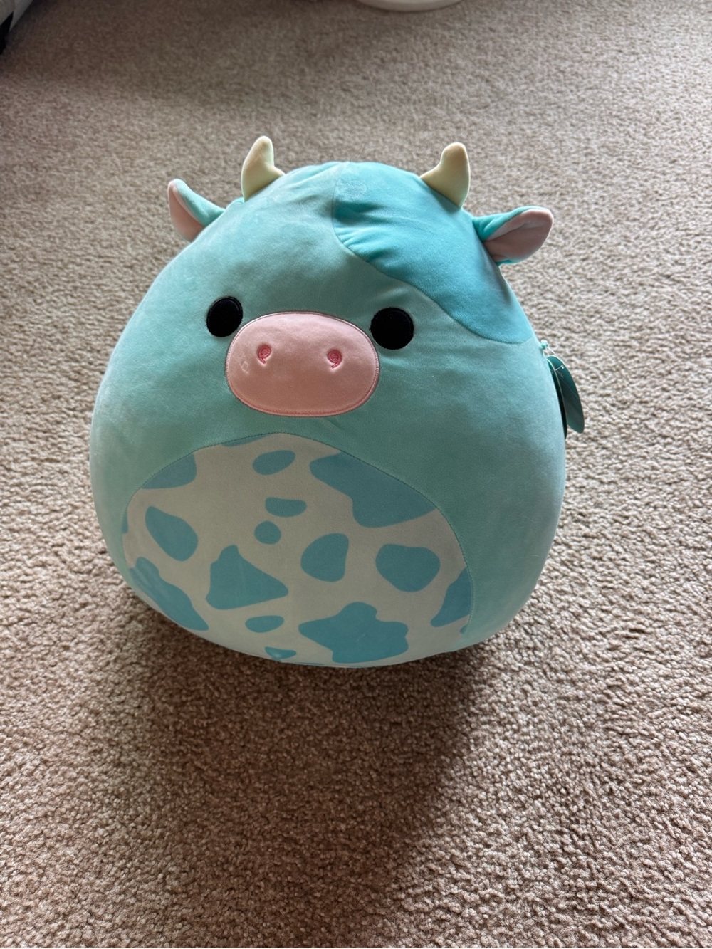 Squishmallows Ultra Rare Tuluck